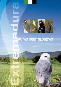 Enlace de catálogos externos Enlace de catálogos externos